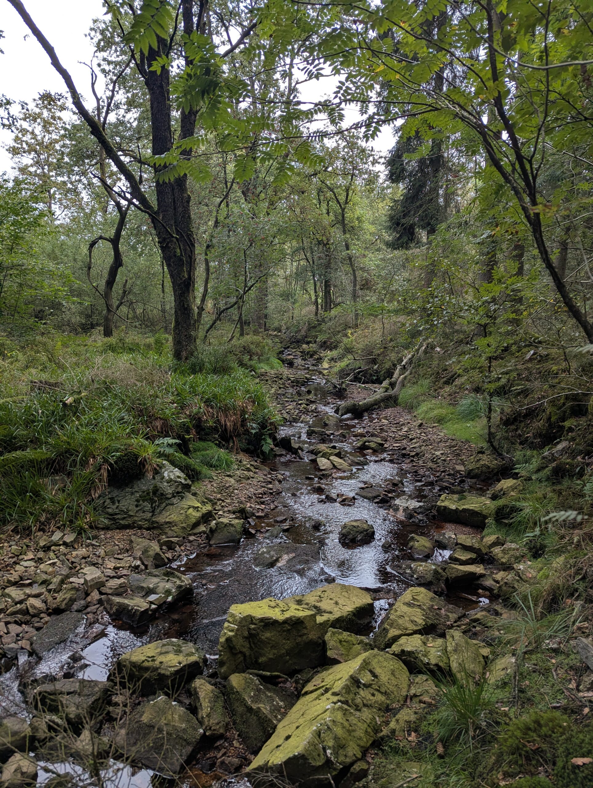 Das Trôs-Marets-Tal ohne Wasser