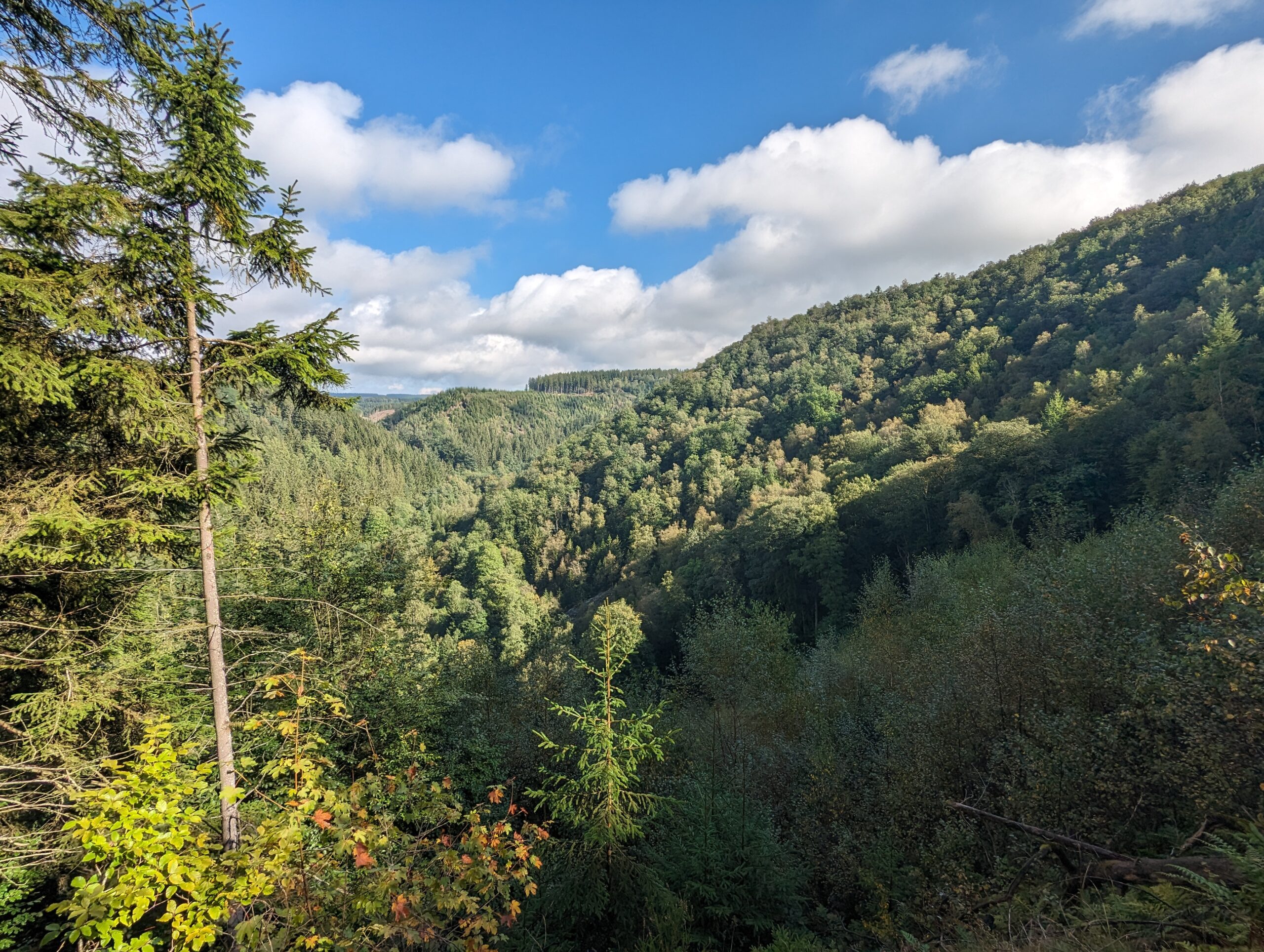 Blick über das Warchetal