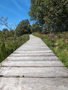 Bohlenweg